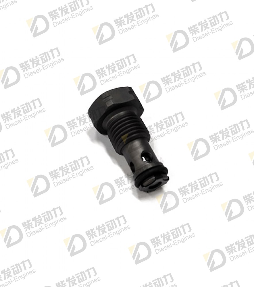Overflow valve 21670181 